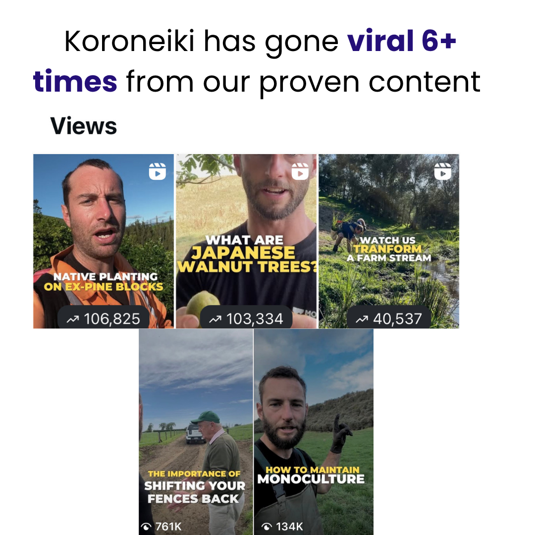 Real client result: viral content, 6x